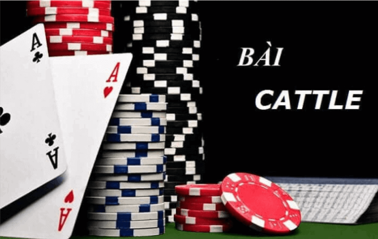 Mẹo chơi bài Catte Go789 thứ hai: Quan sát và phán đoán bài đối thủ